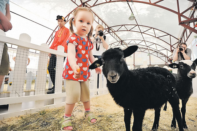 На ВДНХ работает первый столичный контактный зоопарк. Детей пускают прямо в вольеры к овечкам.