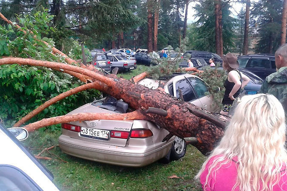 Несмотря на опасность, люди сообща оттаскивали упавшие деревья