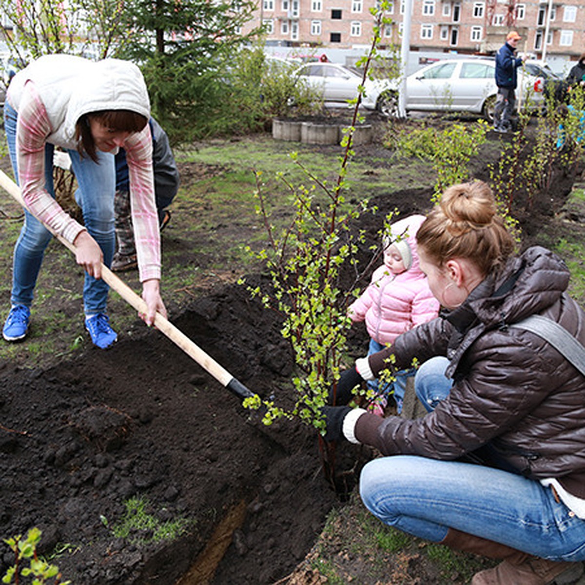 Уют в каждый двор - KP.RU