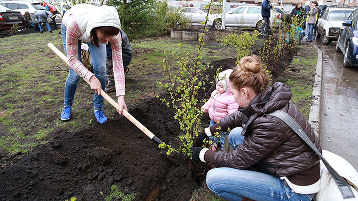 Уют в каждый двор - KP.RU