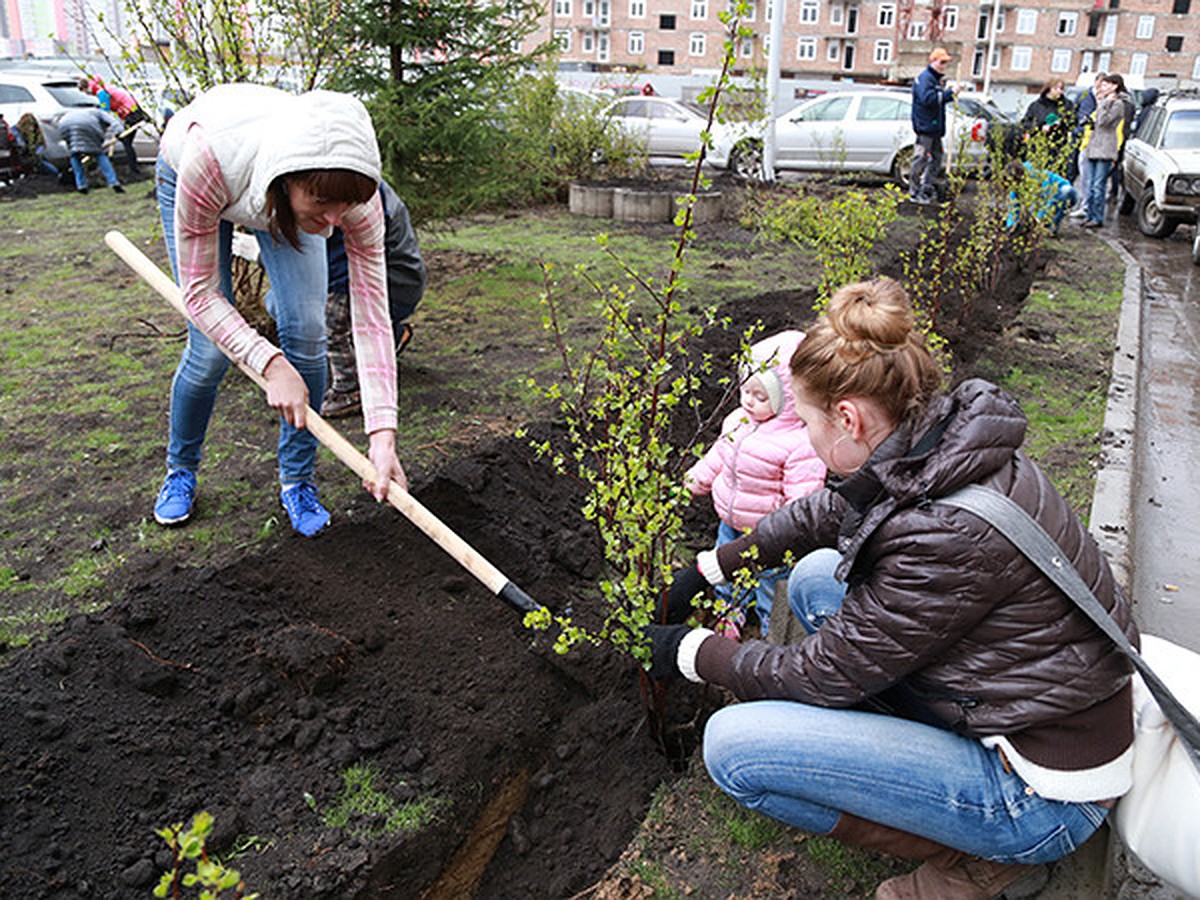 Уют в каждый двор - KP.RU