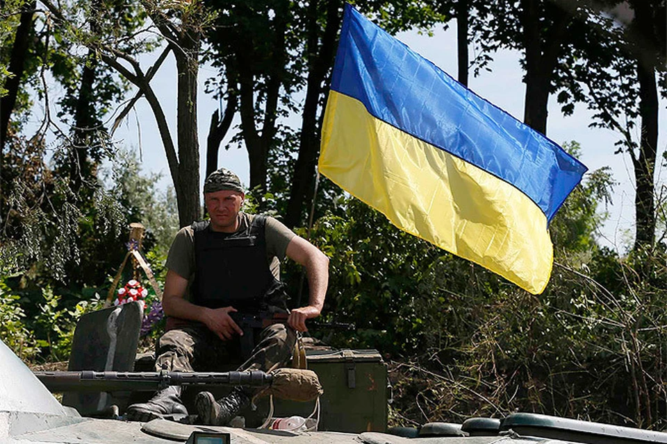 "Украина - вязанка соломы для поджога России", утверждает наш автор