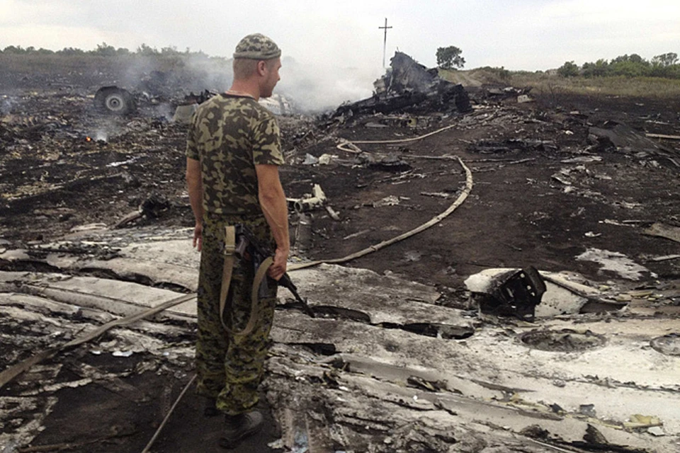 Андрей Пургин сообщил, что украинские военные могли сбить самолет малайзийских авиалиний