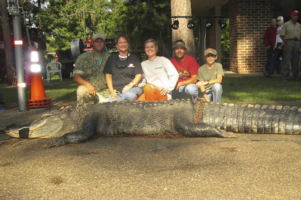 Охотники на аллигаторов в Алабаме установили новый рекорд
