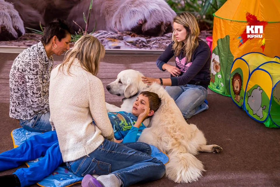 На занятиях по канис-терапии можно даже полежать на собаке. Большой добряк золотистый ретривер Арчи позволяет детям маленькие шалости