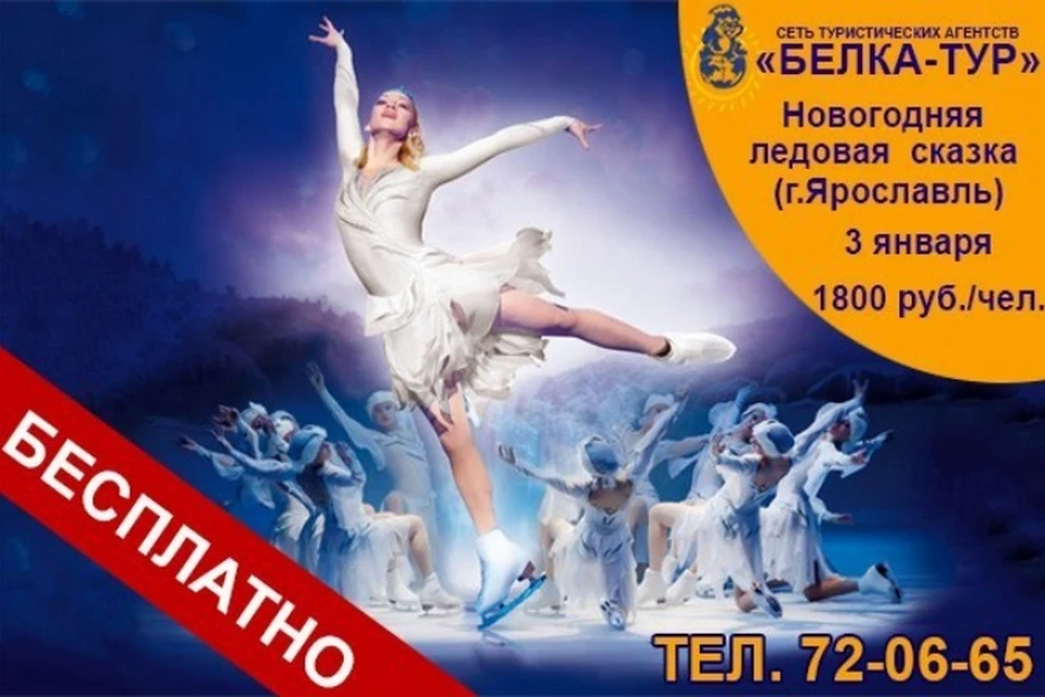 Бельчонок на экскурсии. Тур вологда. Белка тур вологда автобусные. Белка тур горящие туры. Белка тур вологда автобусные.