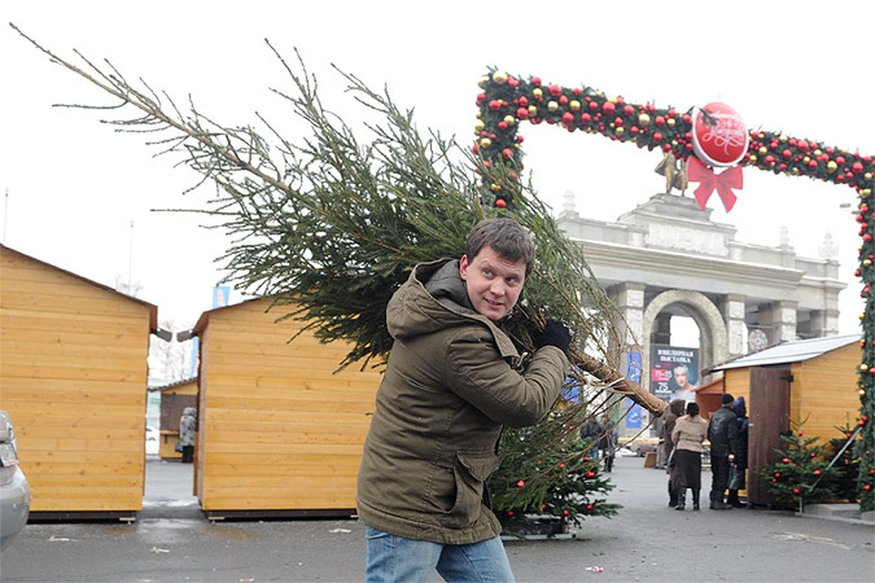 В субботу, 20 декабря, официально заработают базары с праздничными деревьями
