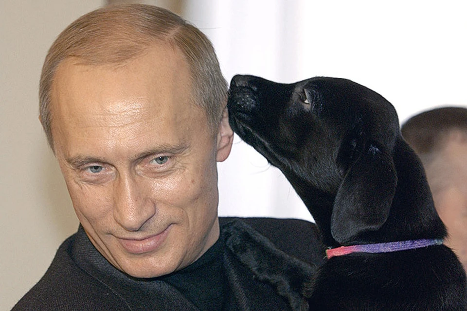 2004 год, Путин и щенок его собаки Кони.