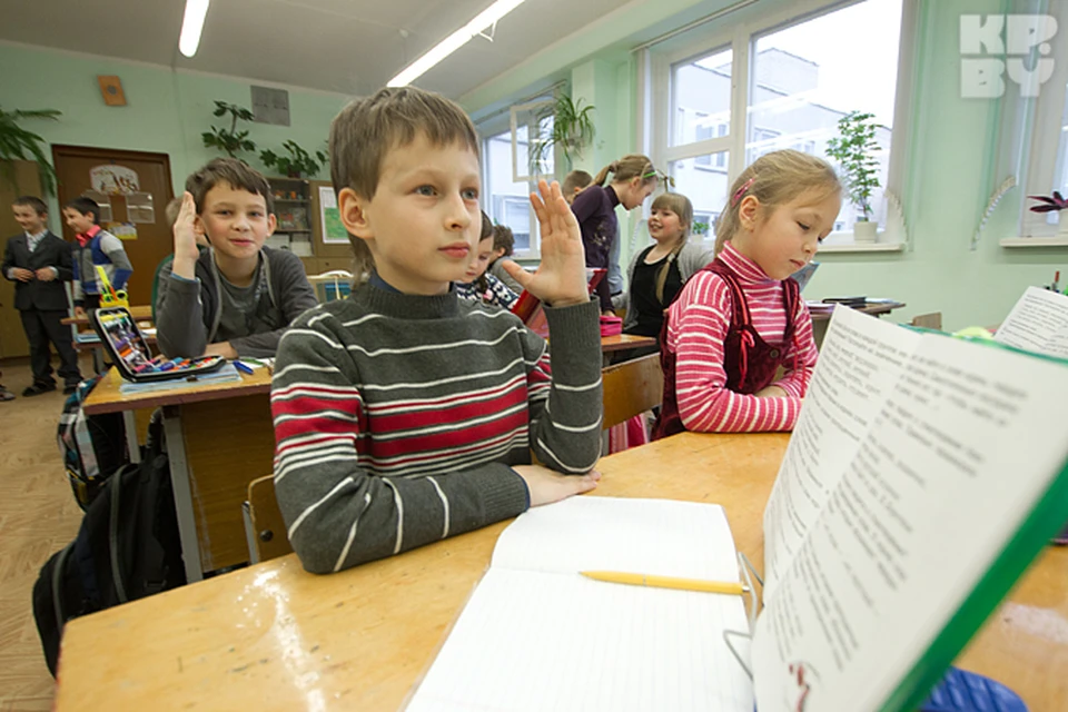 Удастся ли школам возродить профильные классы?