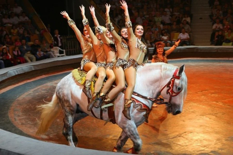 В Иркутском цирке новая экзотическая шоу-программа "Атака амазонок"