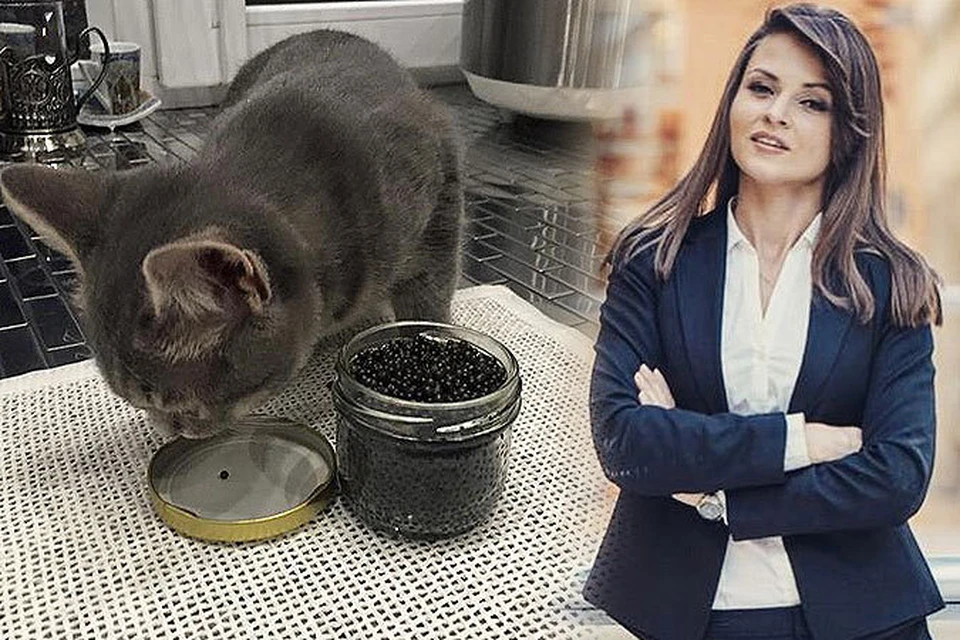 Член Общественной палаты Подмосковья Юлия Алферова накормила кошку черной икрой