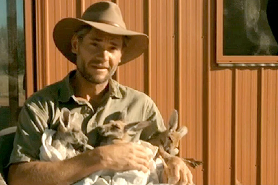 Австралиец по прозвищу "Данди-кенгуру" спасает кенгурят, "вынашивая" их в сумках