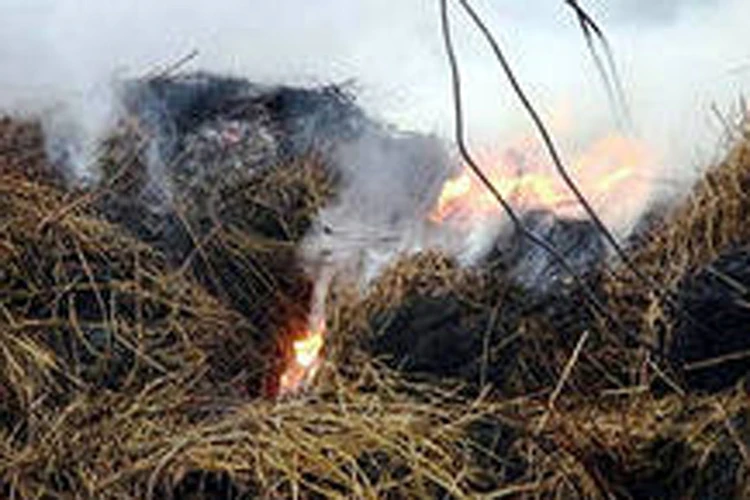 Лесные пожары из Забайкальского края добрались до Бурятии