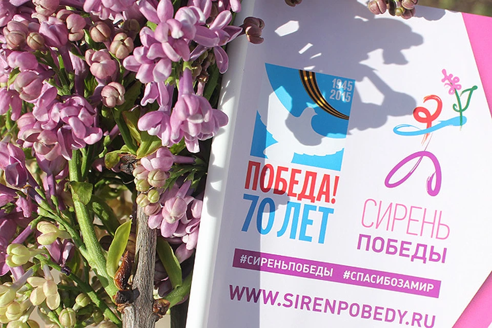 Картинка акция сирень победы
