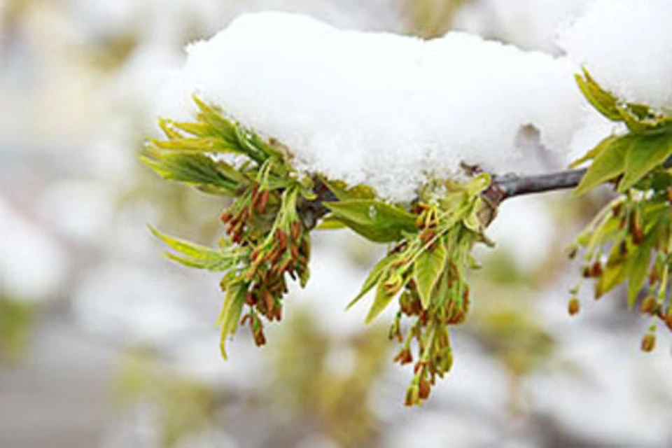 Фото: архив "КП"