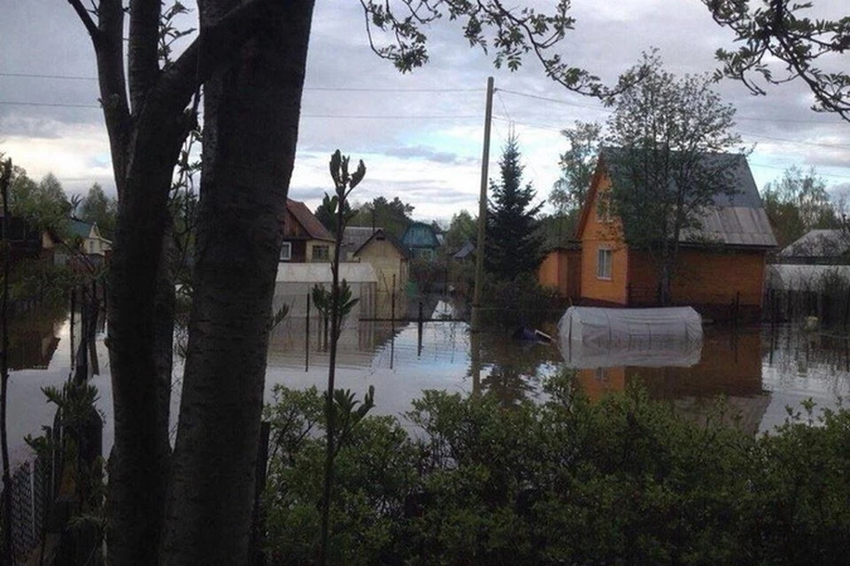 На острове Кудряш случилось настоящее наводнение. Фото: предоставлено Светланой КАРПОВОЙ