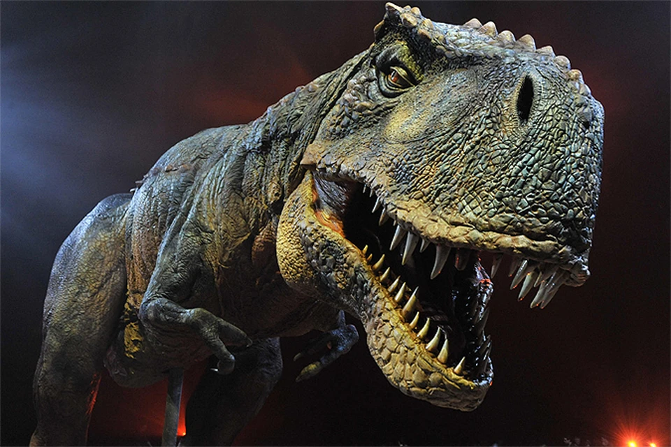 Ученые прояснили особенности интимных отношений у динозавров. Фото: GLOBAL LOOK