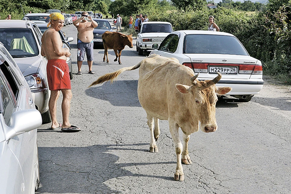 Для некоторых абхазов граница с Россией как дойная корова. Не в их интересах исчезновение очередей на Псоу. Фото: PhotoXpress.ru