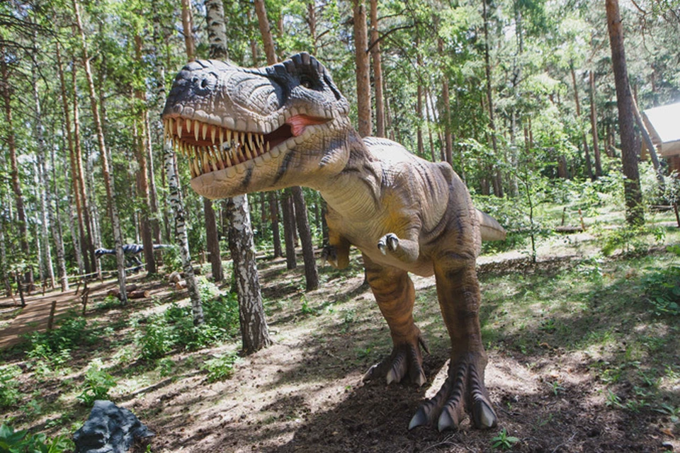 В Шершневском бору поселились диплодоки и тиранозавры