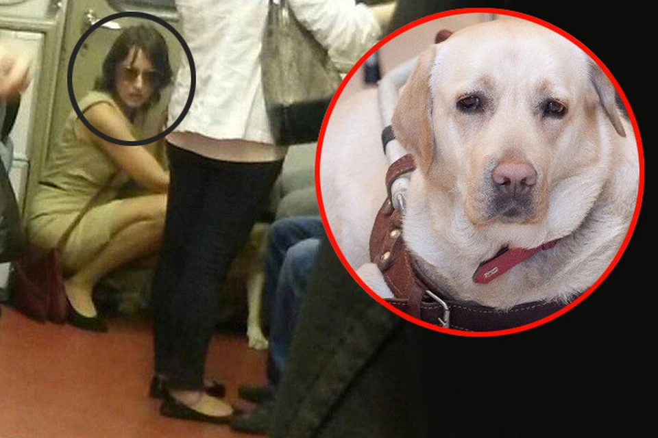 «Похитительница» собаки-поводыря объявила в изоляторе голодовку
