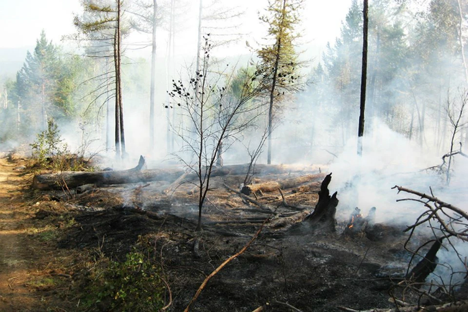 Волонтеры работают на тушении пожаров в Иркутской области. Фото: Анатолий Казакевич