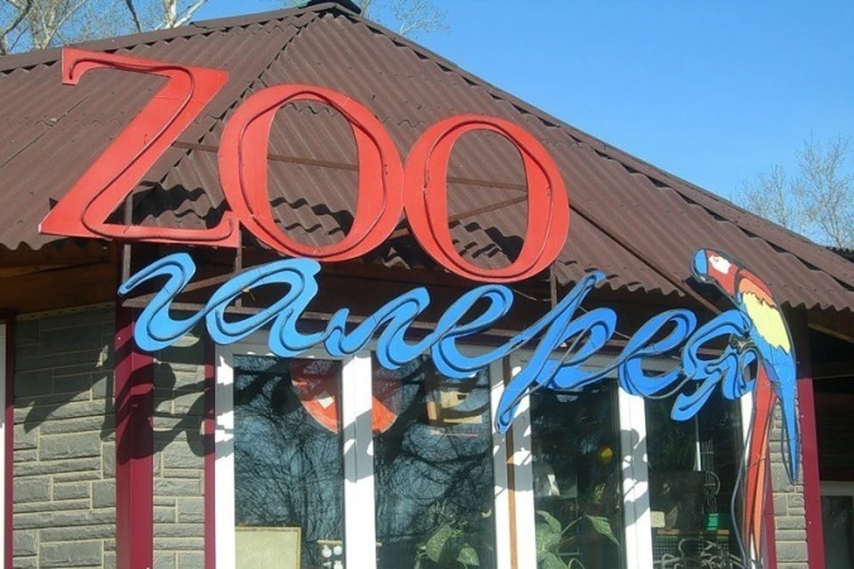 Иркутская зоогалерея переедет на новое место. Фото: официальная группа зоогалереи.