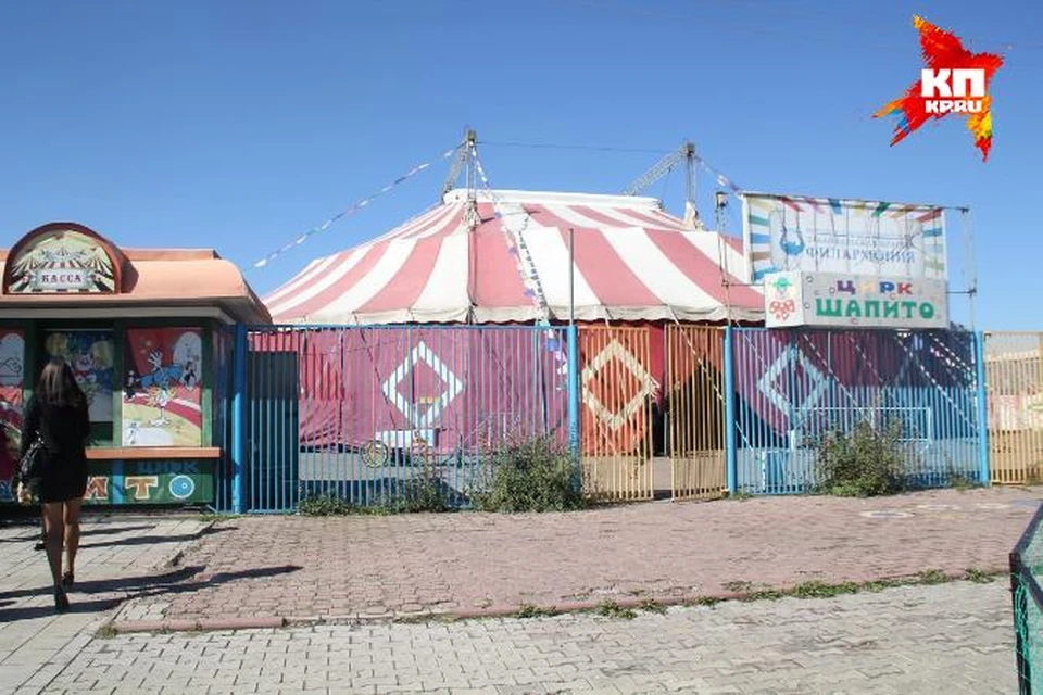 Читинский цирк "Шапито".