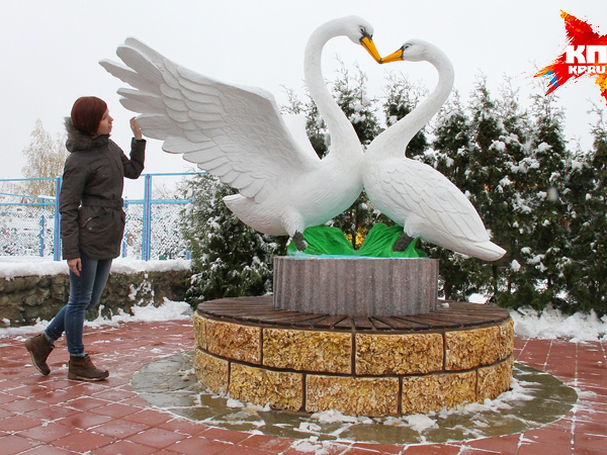 Памятник лебединой верности появился в Нижнем Новгороде - KP.RU