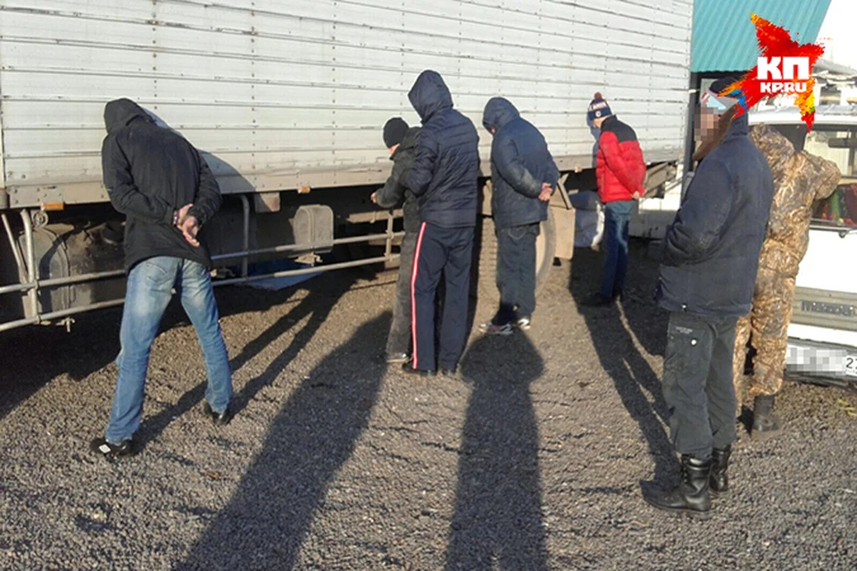 Разбойникам из Комсомольска-на-Амуре досталось за орехи