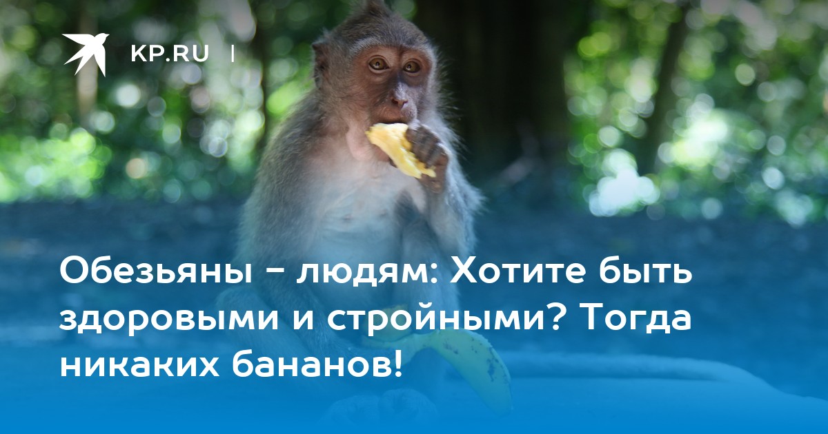 Почему обезьяны так любят бананы: научное объяснение и факты