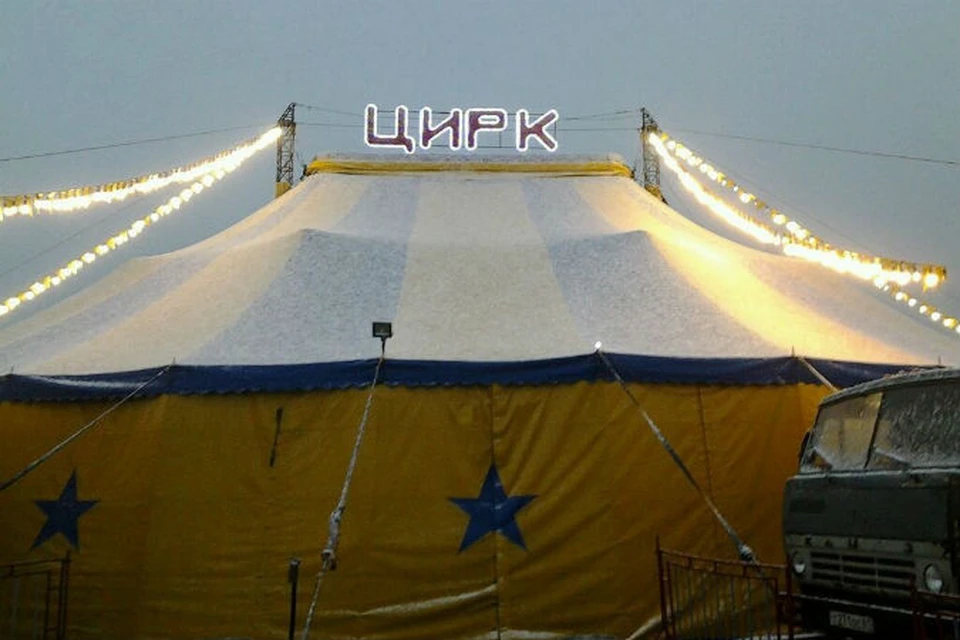 Куда уехал цирк? Выступив в Красноярске, шапито оставило своих питомцев умирать на морозе. Фото: соцсети, шапито "Звездный".