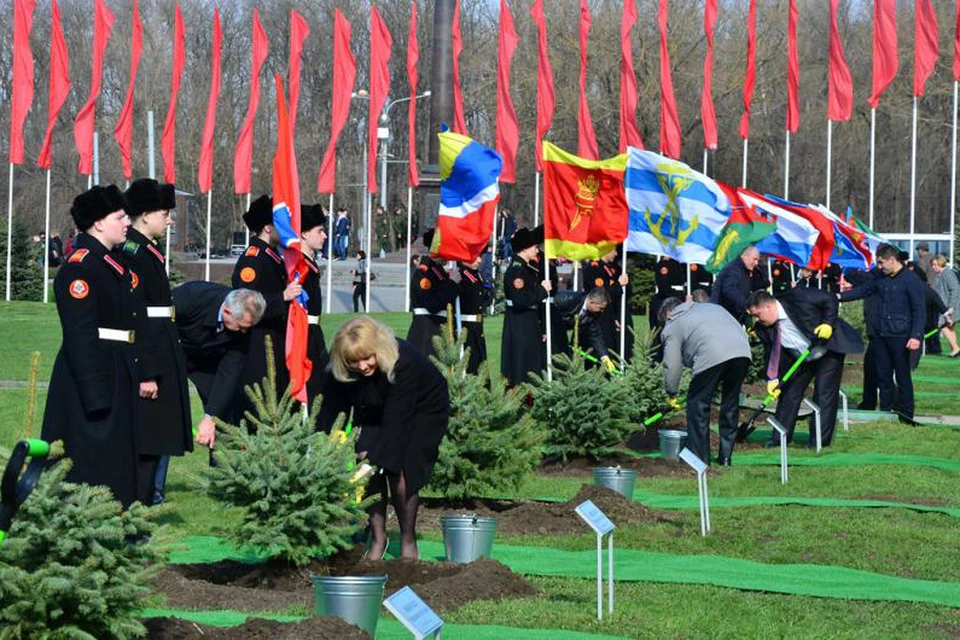 Представители городов воинской славы лично посадили деревья в Ростове.