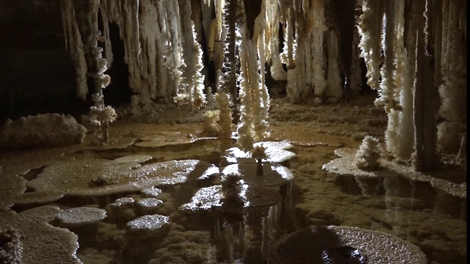 Чешские и крымские ученые нашли уникальные кристаллические цветы