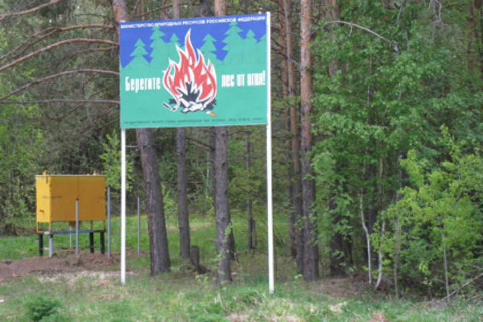 Противопожарный режим нижегородская область. Леса ПФО. Особый противопожарный период в Нижегородской области. Остановка в лесу Нижегородская область координаты.