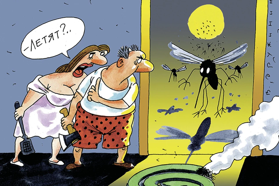 Считается, что защищаться от насекомых лучше всего разномастной химией. Так ли это?