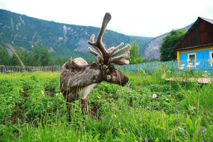 ФОТО: Александр Шудыкин.
