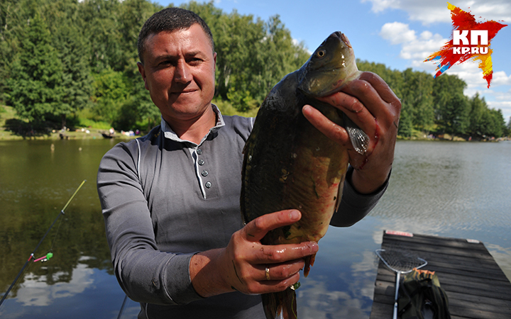 Пока за окном царит лето, хочется сменить офис на берег речки, а ручки и компьютерные мышки - на удочки