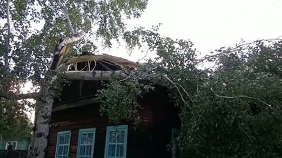 Фото: соцсети.