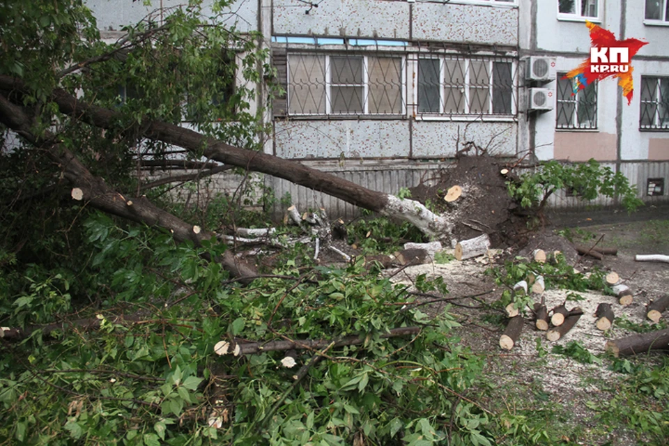 Упавшие деревья и сломанные светофоры: последствия шторма в Нижнем Новгороде