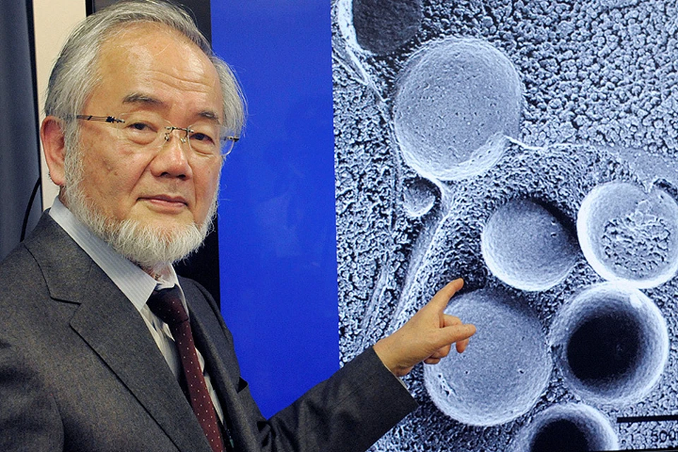 Нобелевский лауреат, японский ученый-биолог Ёсинори Осуми.