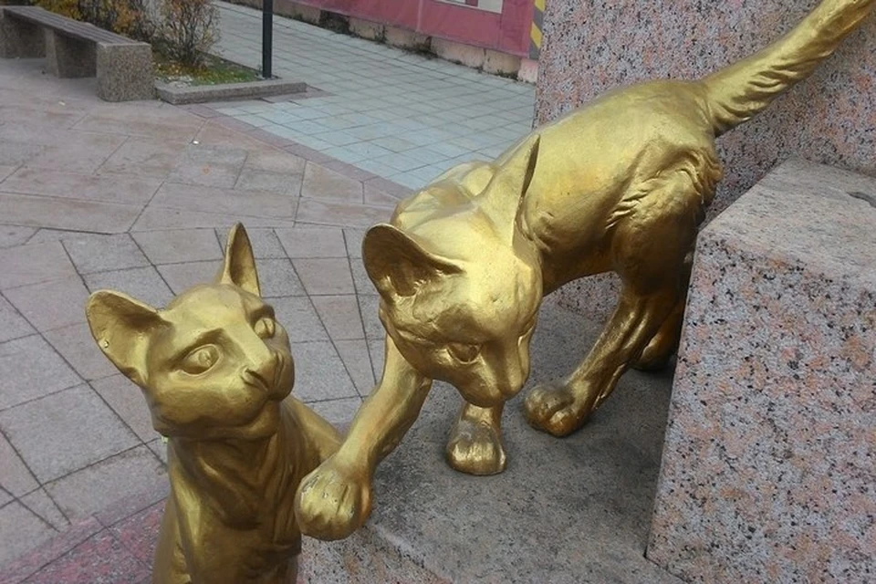 В сквере Сибирских Кошек на улице Первомайской в Тюмени все 12 кошек сегодня в удовлетворительном состоянии.