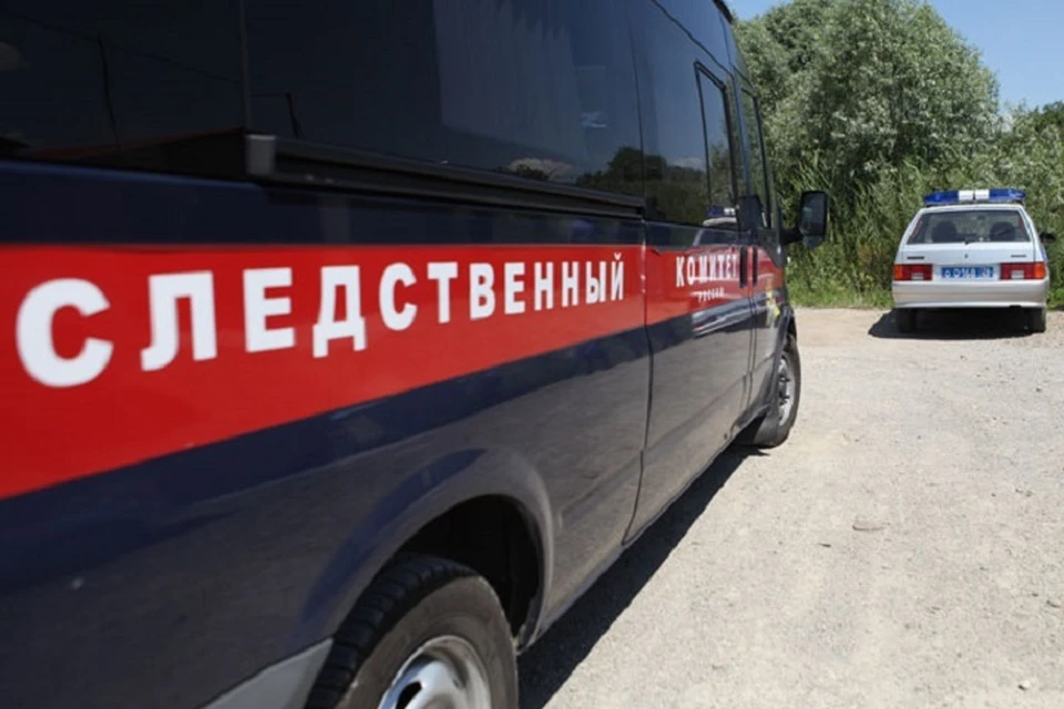 На Ставрополье завели дело против администратора группы "Вконтакте", призывавшего школьницу свести счеты с жизнью.