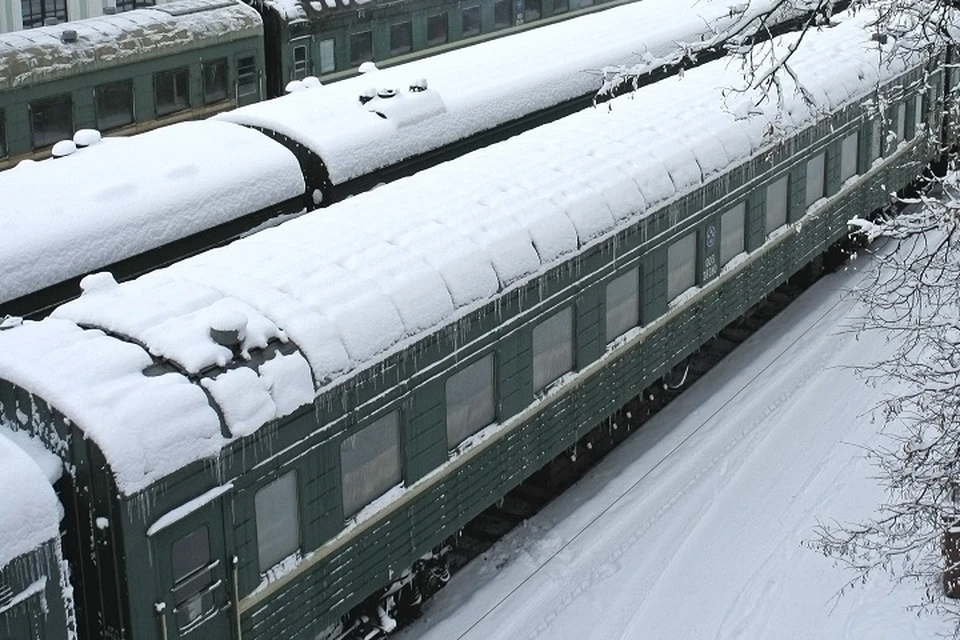 Пограничники сняли с поезда Москва-Рига двух детей, перевозимых по подложным документам.