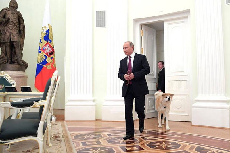 Владимир Путин показал японским журналистам собаку породы акита-ину. Фото: ТАСС
