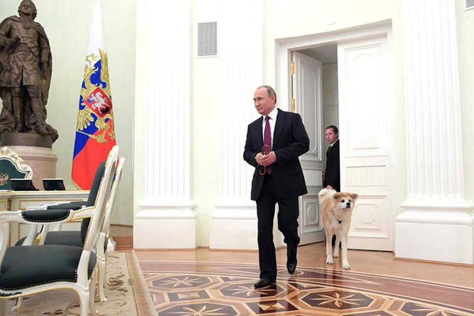 Владимир Путин показал японским журналистам собаку породы акита-ину. Фото: ТАСС