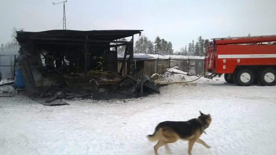 В приюте взорвался баллон с газом