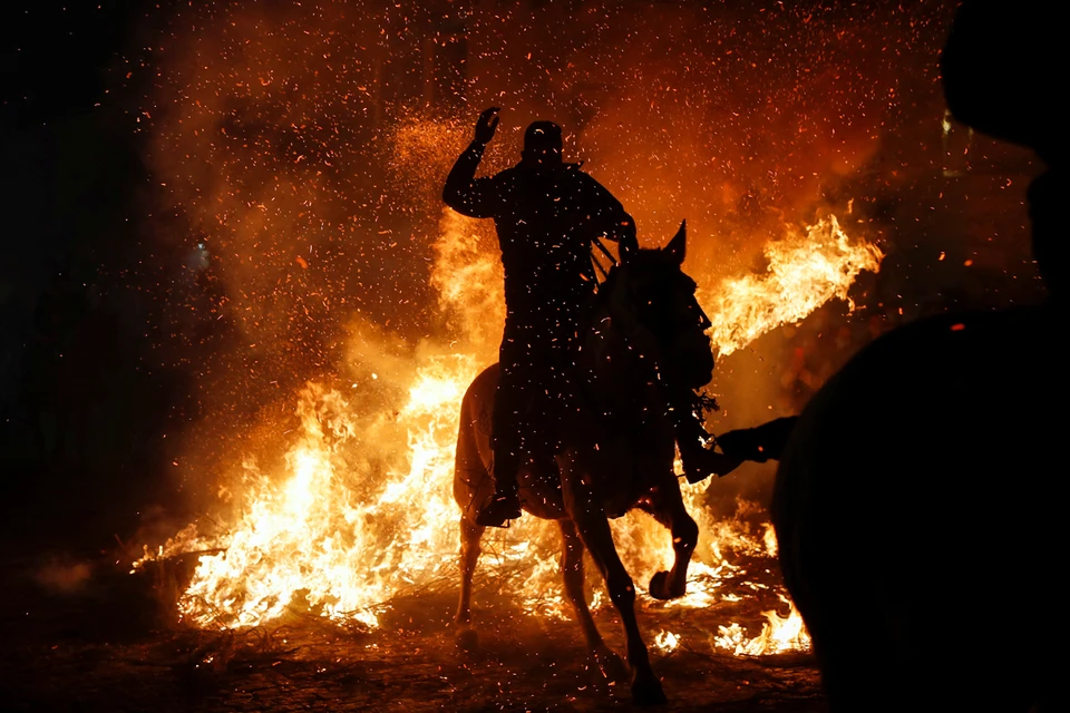 В Испании уже 500 лет отмечают День Святого Антония, покровителя животных. Во время праздника проводится фестиваль Las Luminarias, где наездники прыгают через костры. Таким образом лошади проходят очищение огнем от злых духов. Фото: Reuters