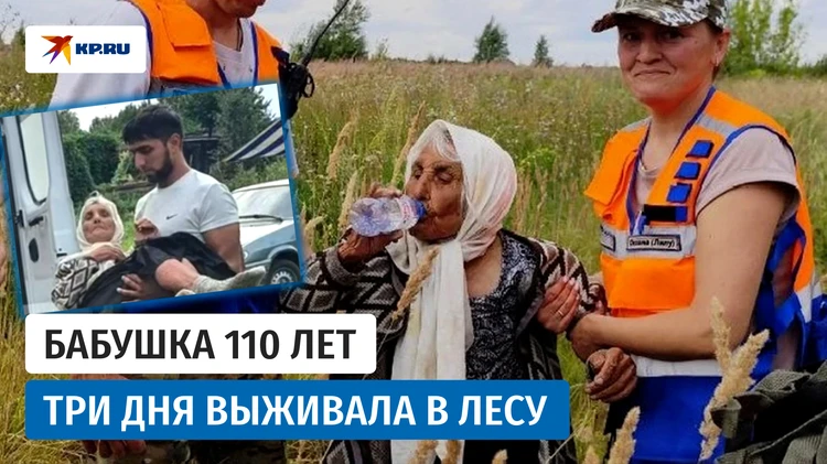 Волонтёры спасли 110-летнюю бабушку, заблудившуюся в лесу Нижегородской области