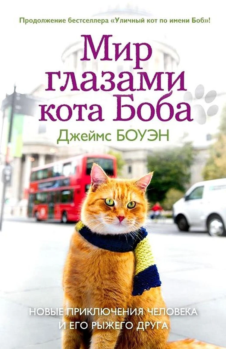 7 книг о котах для мартовских вечеров - KP.RU