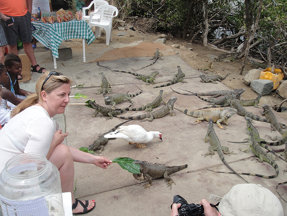 Этих огромных ящериц здесь не счесть